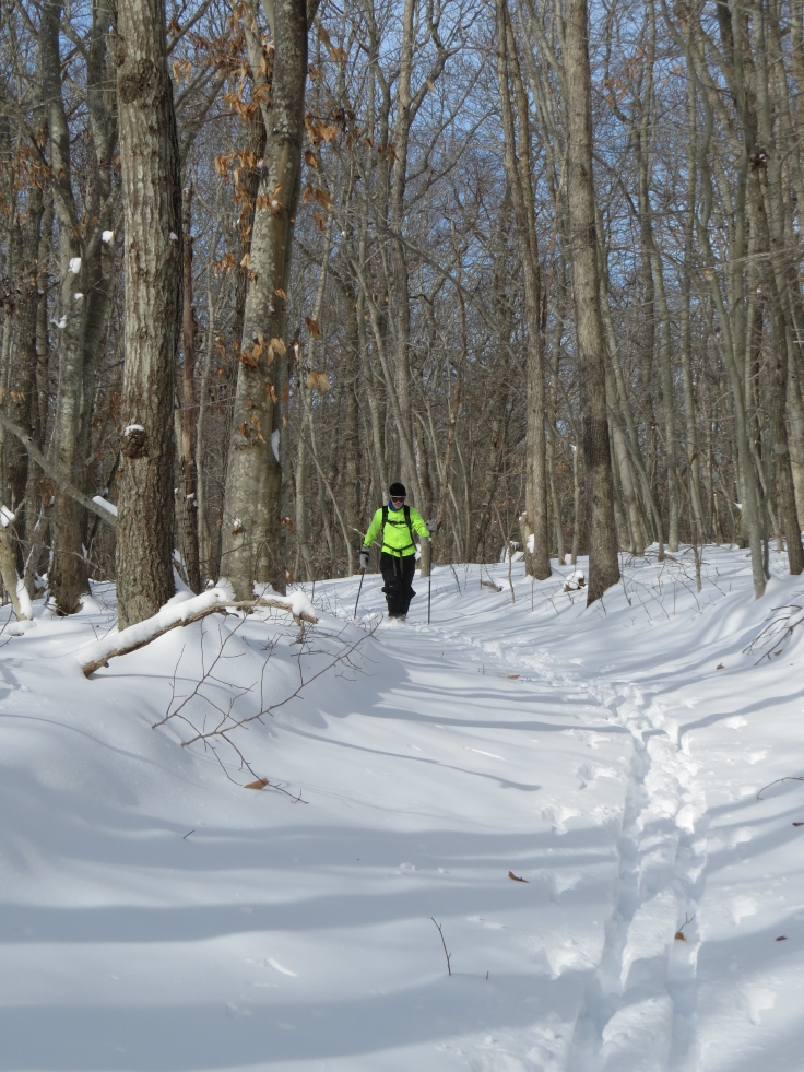Skiing Stony Hill trails in East Hampton: enjoying the light, fluffy snow in late January